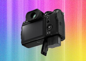 How to Choose a Camera (2026): Sensors, Megapixels, Terms