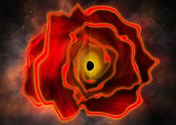 Astronomers Discover the Existence of a Black Hole Star