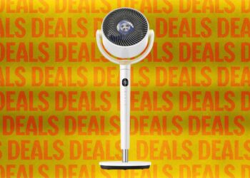 Our Favorite Fans Are on Sale to Help With Summer Heat Waves (2026)