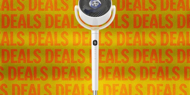 Our Favorite Fans Are on Sale to Help With Summer Heat Waves (2026)