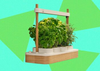 Auk Mini 2 Indoor Smart Garden Review: Better Where It Counts