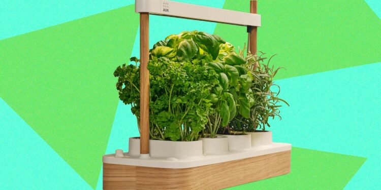 Auk Mini 2 Indoor Smart Garden Review: Better Where It Counts