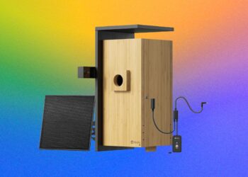 Birdfy Nest Duo Review: My Own Private Nature Documentary