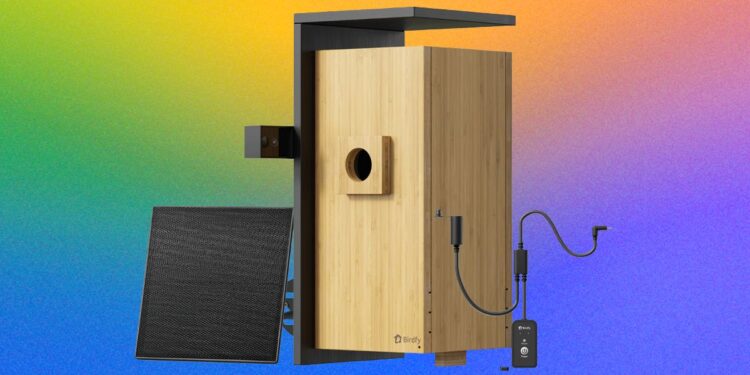 Birdfy Nest Duo Review: My Own Private Nature Documentary