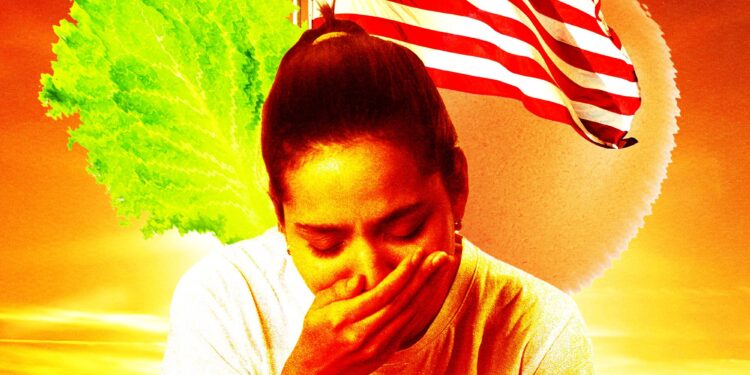 Why Food Keeps Making Everybody Sick This Summer