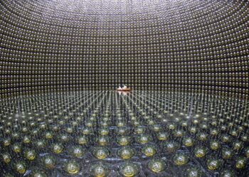Inside the Experimental Traps Scientists Set for Ghostly Neutrinos