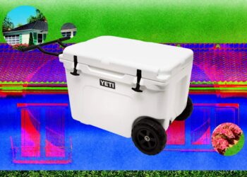 13 Best Coolers for Sunshine and Nighttime (2026)