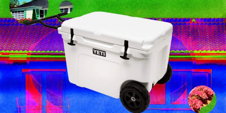 13 Best Coolers for Sunshine and Nighttime (2026)