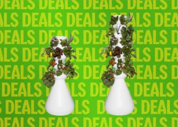 The Best Way to Avoid Diarrhea Lettuce? This Indoor Garden