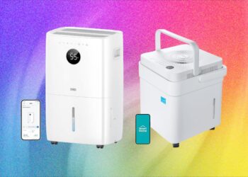 6 Best Dehumidifiers to Fight Mold and Muggy Summers (2026)