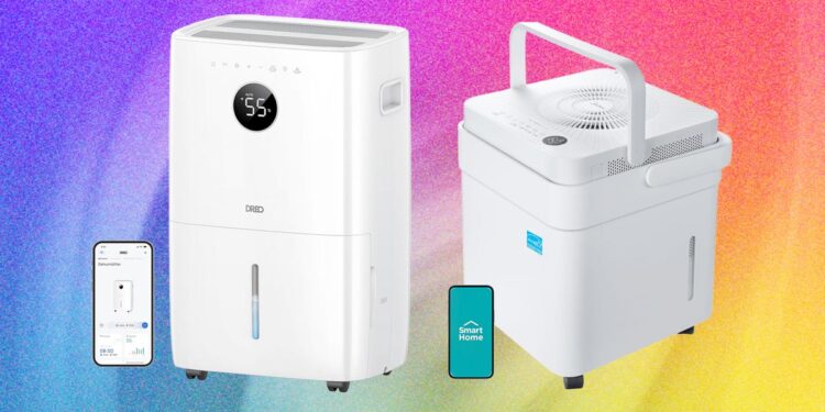 6 Best Dehumidifiers to Fight Mold and Muggy Summers (2026)