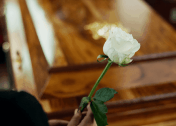 Bitcoin Has Been Declared Dead 21 Times in 2026, Yet It Won’t Stay Buried