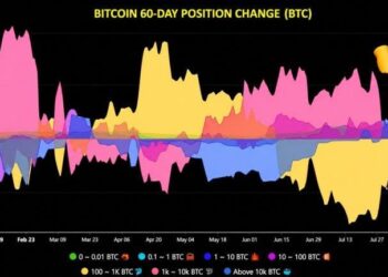 Bitcoin Whales Add 43,000 BTC, Ending Months-Long Selling Spree