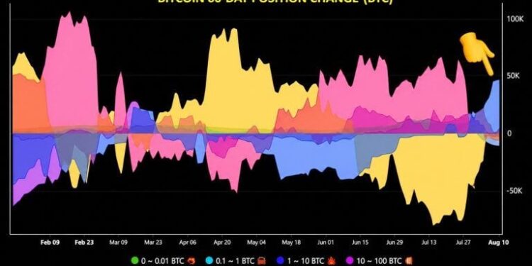 Bitcoin Whales Add 43,000 BTC, Ending Months-Long Selling Spree