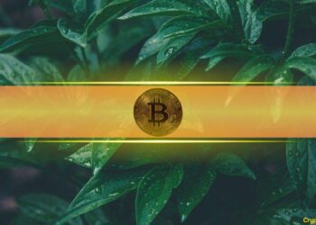 Bitcoin Could Hit $90K – But This Major Test Comes First, Analysts Say