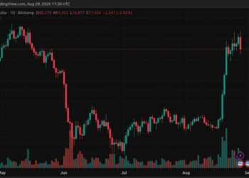 BTC Rejects $81,500 as Whales Build Massive Sell Wall at $81K