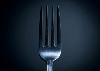 Bitcoin’s ECX Fork Is Coming: When It Hits and Who Gets Free Coins