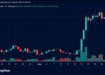 Bulls Reload for Another Assault on $81K as Bitcoin’s Price Rises