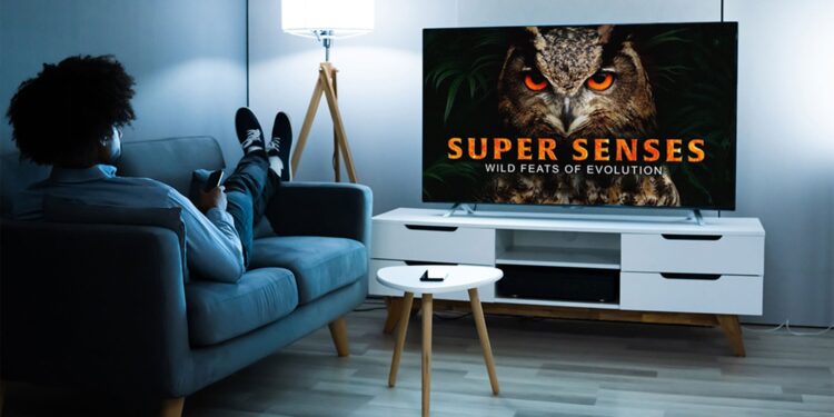 Want smarter screen time? This documentary streaming service variation is now $130 for life.
