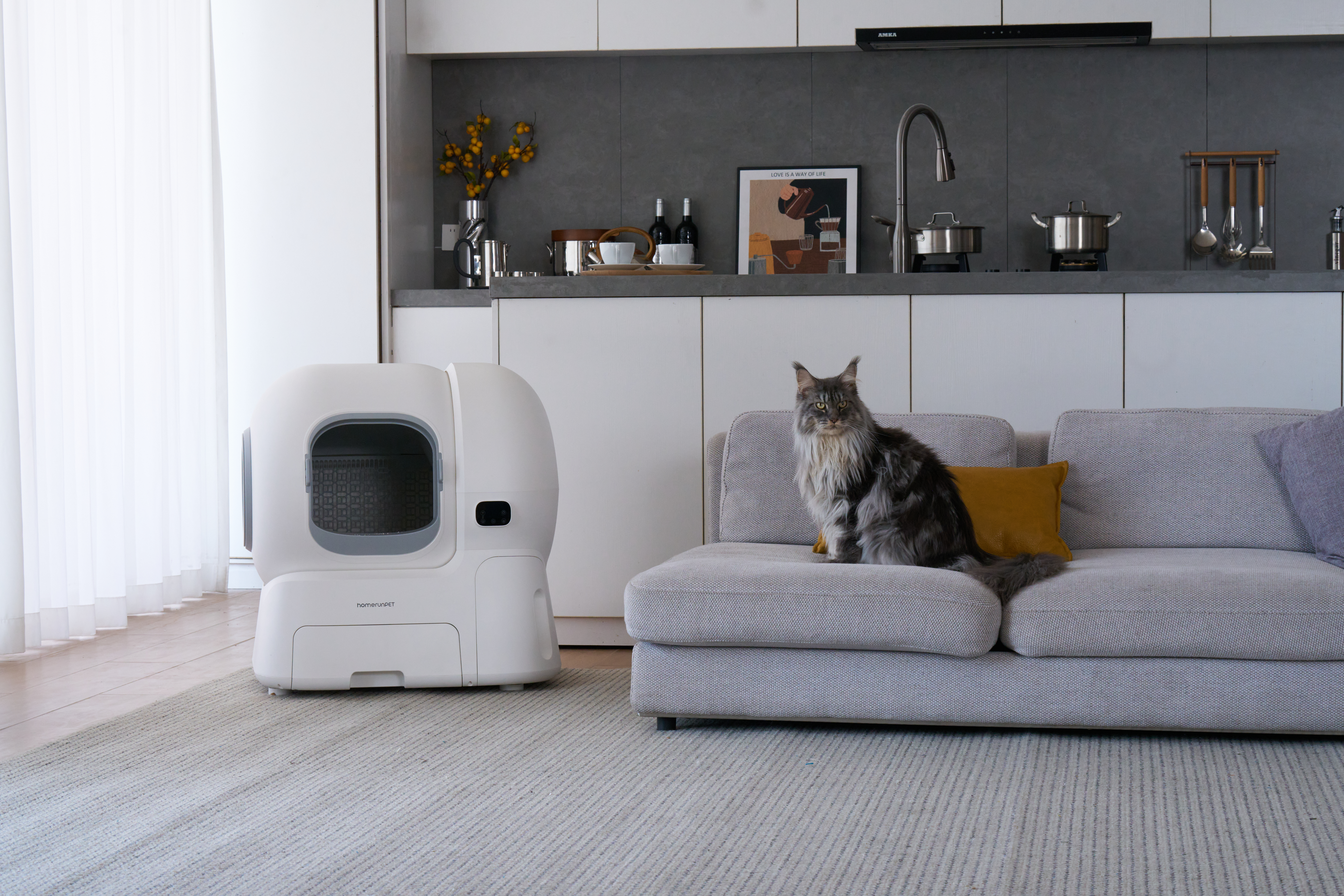 Your giant cat finally has a litter box that fits — HomerunPet has dropped a smart litter box for chonks
