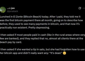 Bitcoin Core Dev Warns Bitcoin Payments Vanish at Bitcoin Beach