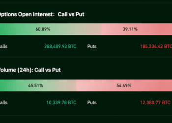 Options Bets Turn Defensive Ahead of a Bitcoin Price Showdown