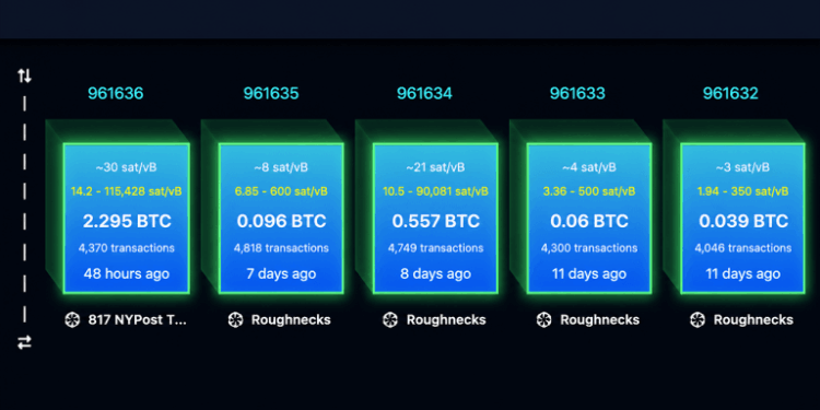Replay Attack Alarm Grows as BIP-110 Backers Brand Bitcoin ‘Spamcoin’