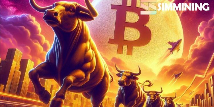 Bitcoin Price Holds Key Support as Bulls Eye Recovery