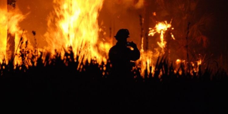 US Senators Target Wildfire Bets in New CFTC Rule Fight