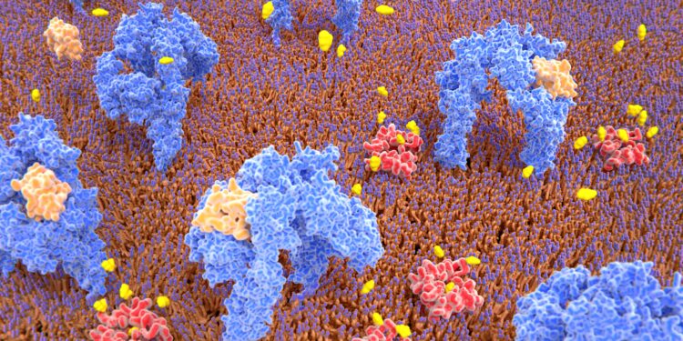 Some Pancreatic Cells Are Just One Genetic Tweak Away From Treating Diabetes