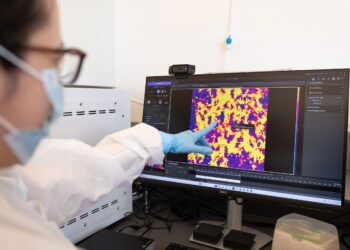 AI Models Built From Rat Brains Just Got Closer to Reality