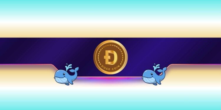 240,000,000 DOGE in a Week: Where Is Dogecoin Headed Next?