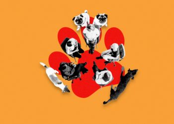 Welcome to Dogs Anonymous, the Online Support Group for People With Difficult Dogs