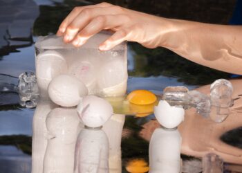 There’s a Hot New Egg-Freezing Related startup term. It’s Weirder Than You Could Imagine