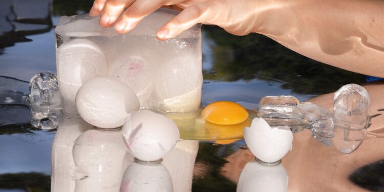 There’s a Hot New Egg-Freezing Related startup term. It’s Weirder Than You Could Imagine