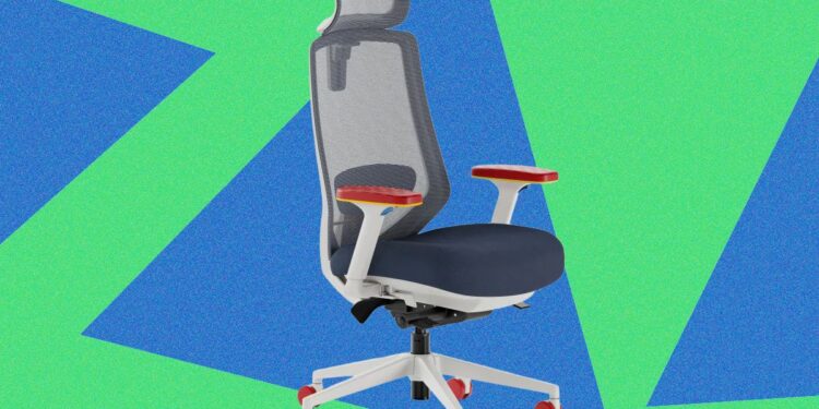 Branch Ergonomic Chair Pro (Sega Edition) Review: Comfy, Not Boring