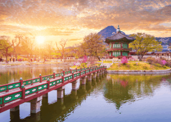 South Korea Cracks Down on CatFi Rugpull: First-Ever Crypto Fraud Case Under New Investor Protection Law