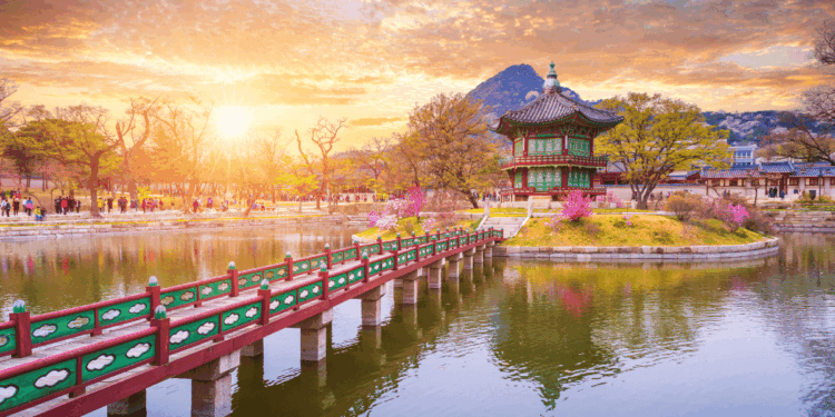 South Korea Cracks Down on CatFi Rugpull: First-Ever Crypto Fraud Case Under New Investor Protection Law