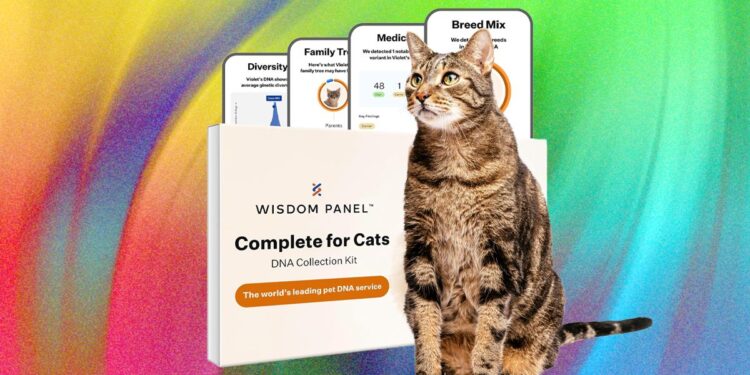What’s the Best Pet DNA Test? We Tested the Most Popular Ones