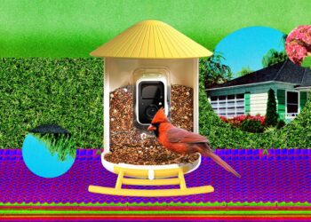 The Smart Bird Feeders Everyone’s Talking About (and Actually Buying) (2026)