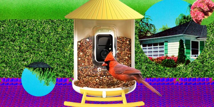 The Smart Bird Feeders Everyone’s Talking About (and Actually Buying) (2026)
