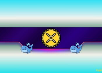 Ripple Whales Go on Massive Accumulation Spree: Bigger XRP Price Move Coming?