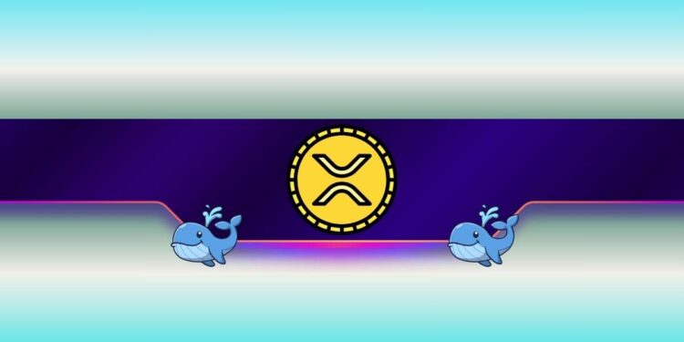 Ripple Whales Go on Massive Accumulation Spree: Bigger XRP Price Move Coming?