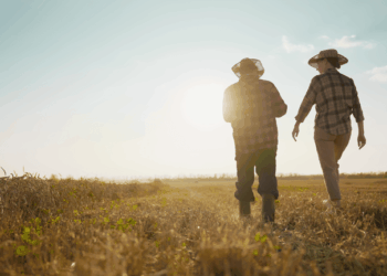 A 52-Year-Old Mississippi Farmer Faces Elon Musk’s Data-Center Push
