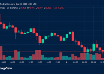 Bitcoin Price Loses Steam as Bears Circle Critical $78K Floor
