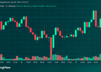 Bitcoin Price Roars Back From $77,603 as Bulls Eye $80,000