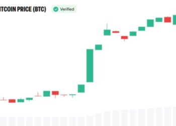 Bitcoin Was the Asset. Now Institutions Are Building Around It