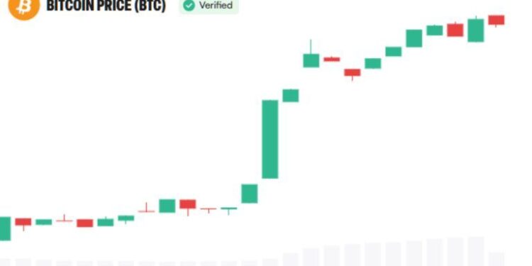Bitcoin Was the Asset. Now Institutions Are Building Around It