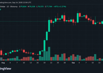 Bitcoin’s Price Refused to Break at $76K, but $79K Won’t Give