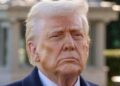 Trump Diesel Curbs Could Hit Every Major Economy, Devere Warns
